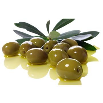 زیتون شکسته اصل پارودبار